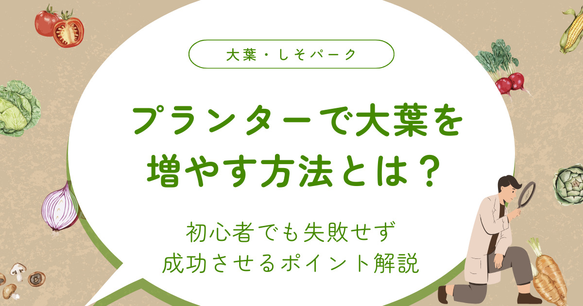 プランターで大葉を増やす方法とは？初心者でも失敗せず成功させるポイント解説