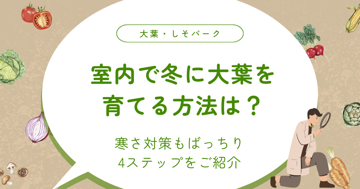 室内で冬に大葉を育てる方法は？寒さ対策もばっちり4ステップをご紹介