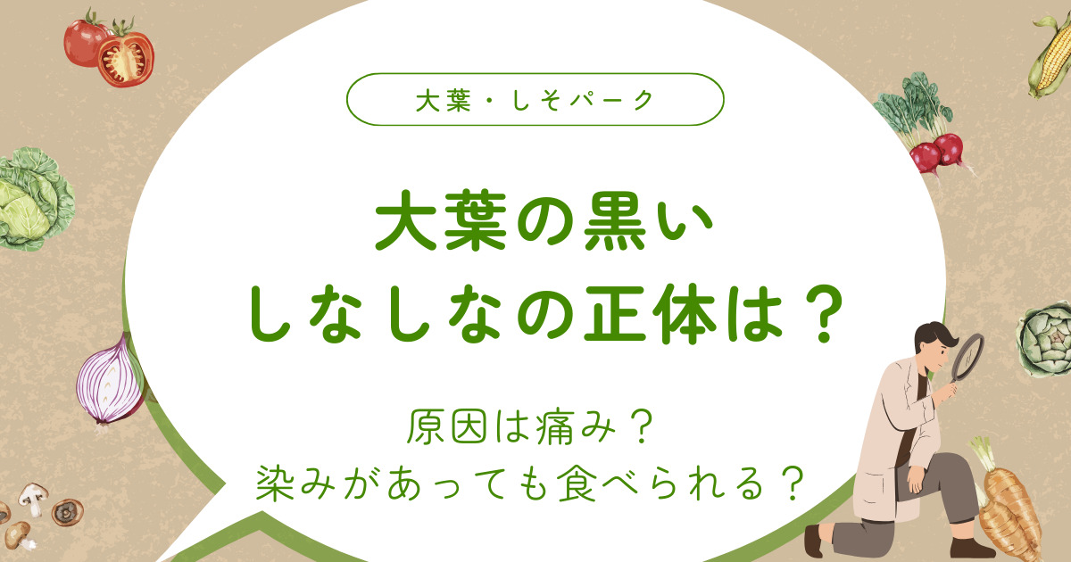 大葉の黒いしなしなの正体は？原因は痛み？染みがあっても食べられる？