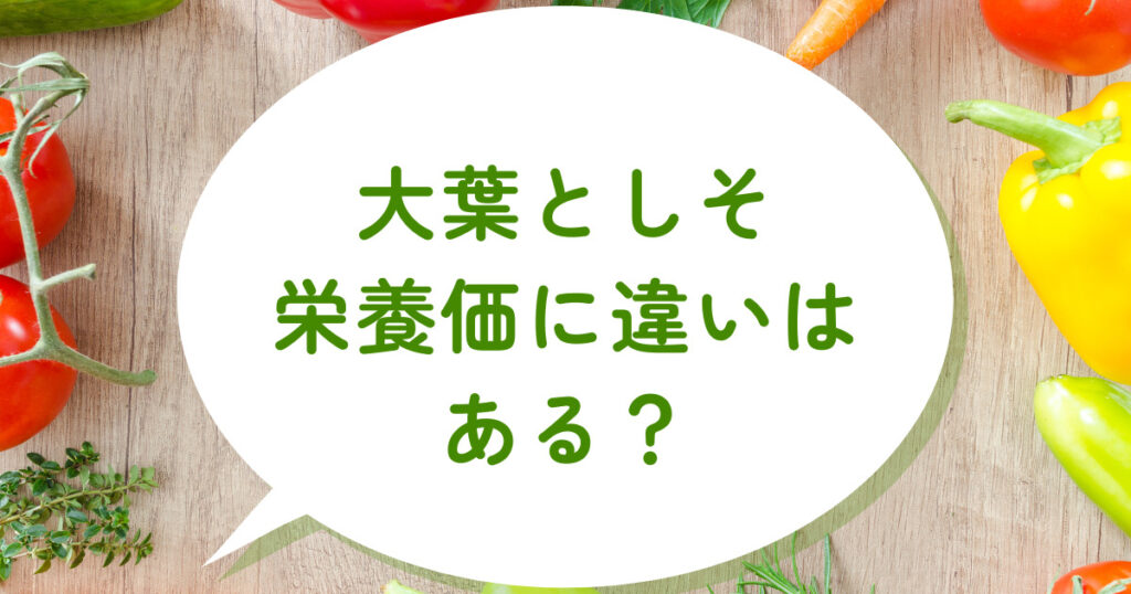 大葉としその味の違いは？舌で感じる微妙な美味しさを比較！