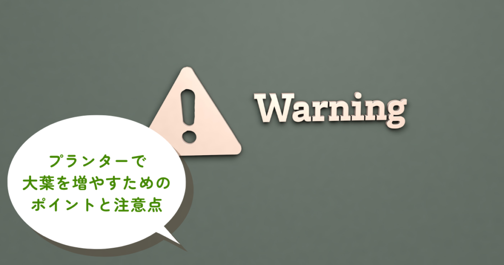 プランターで大葉を増やす方法とは？初心者でも失敗せず成功させるポイント解説