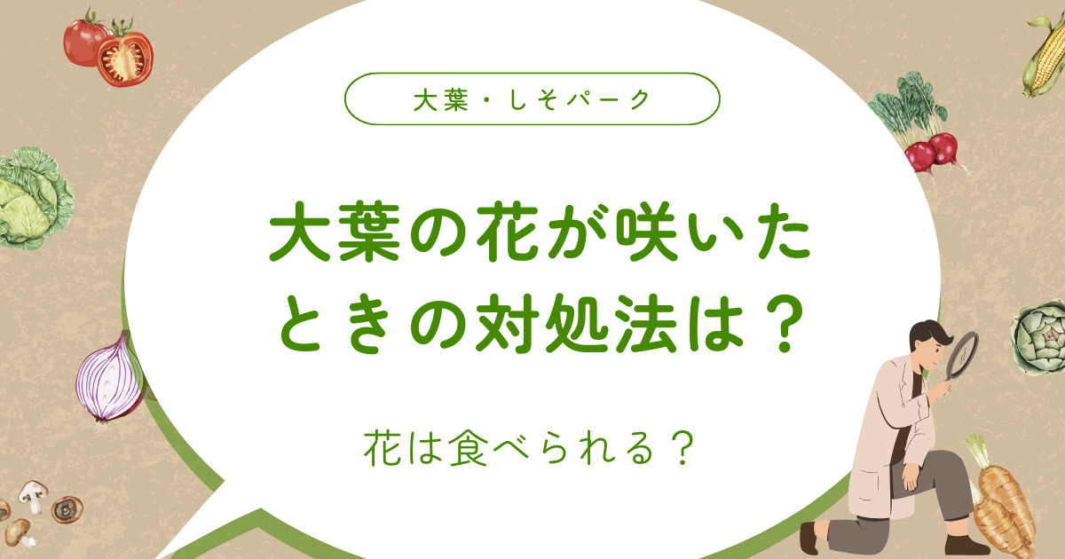 大葉の花が咲いたときの対処法は？花は食べられる？