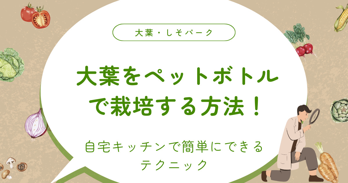 大葉をペットボトルで栽培する方法を解説！自宅キッチンで簡単にできるテクニック