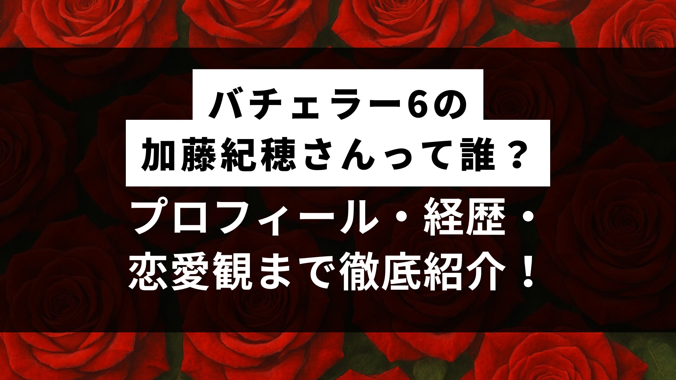 バチェラー6の加藤紀穂さんって誰？プロフィール・経歴・恋愛観まで徹底紹介！