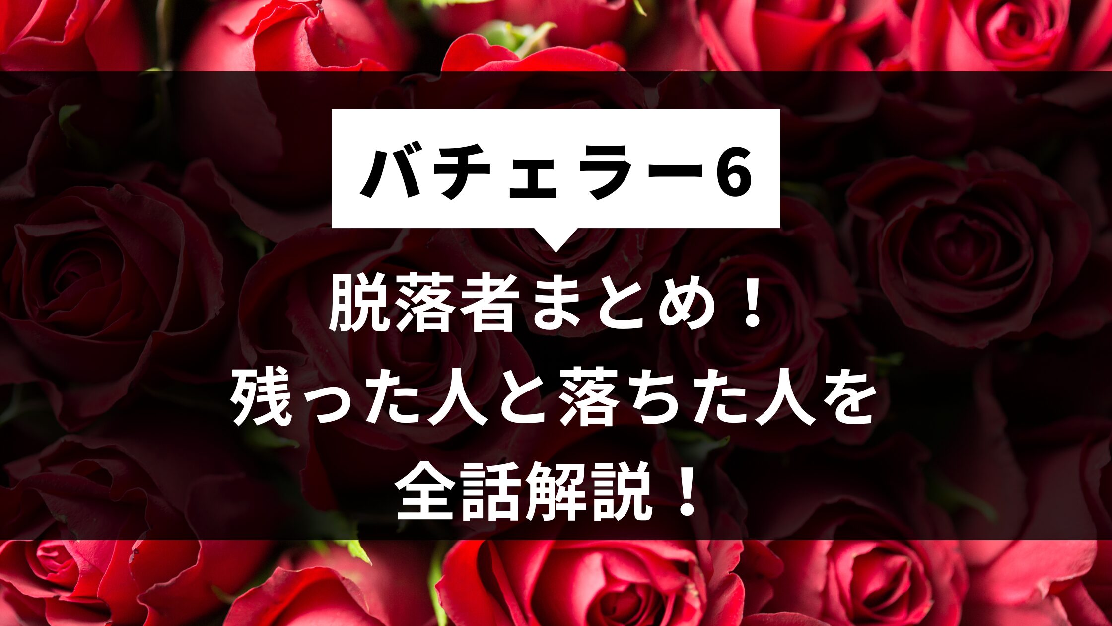 バチェラー６脱落者まとめ！残った人と落ちた人を全話解説