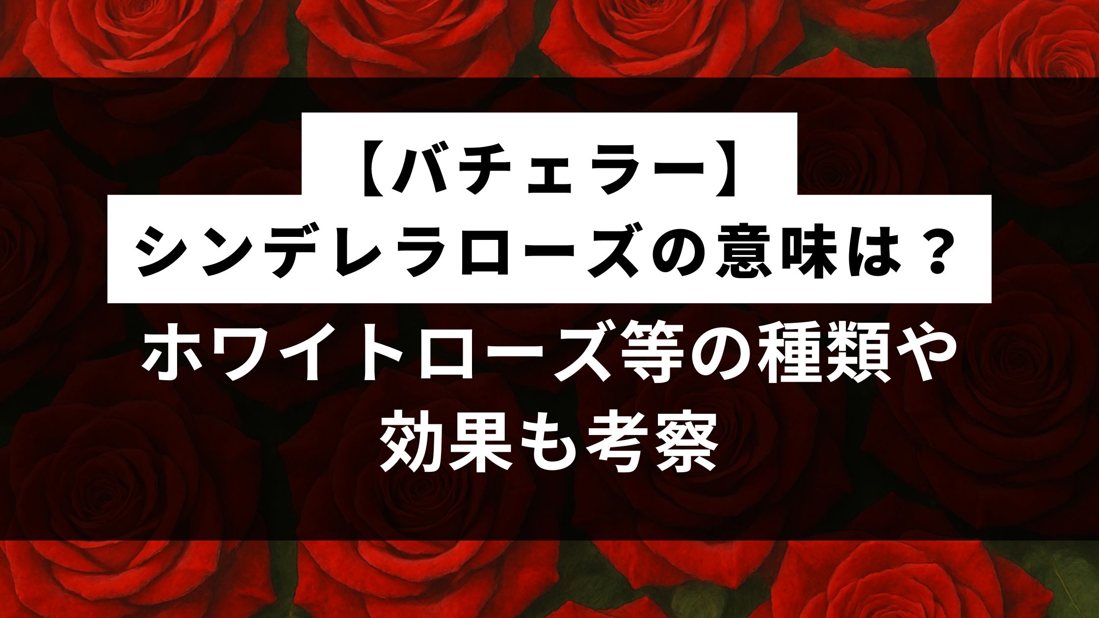 【バチェラー】シンデレラローズの意味は？ホワイトローズ等の種類や効果も考察