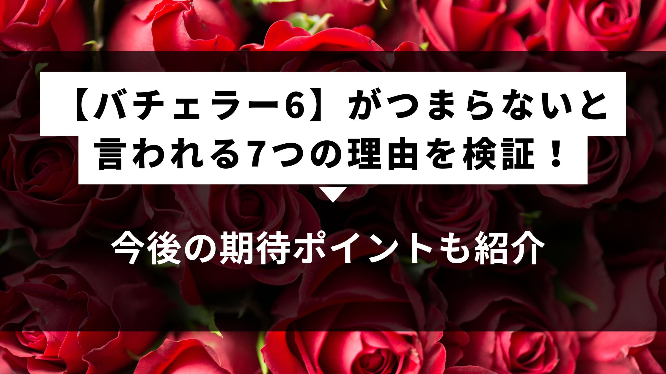 バチェラー6がつまらないと言われる7つの理由
