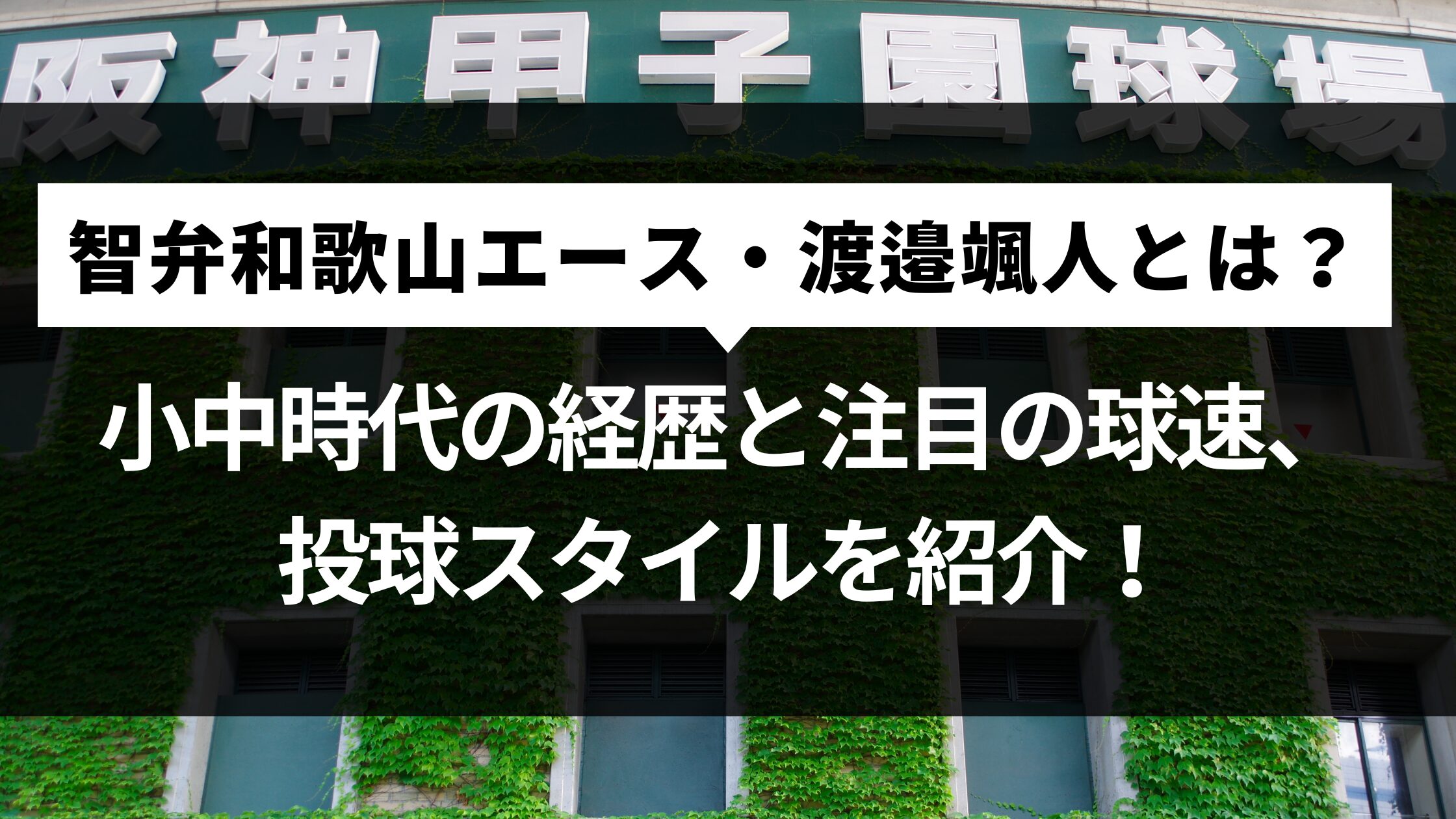 智弁和歌山エース・渡邉颯人とは？小中時代の経歴と注目の球速、投球スタイルを紹介！
